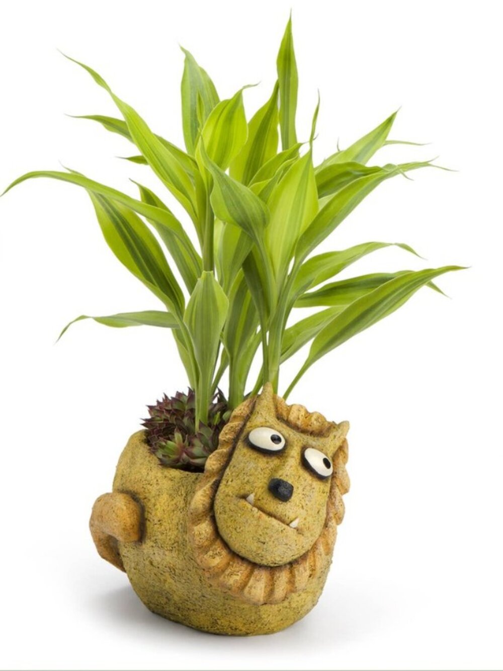 Simba the Lion Planter Pot - Picture 2 of 13